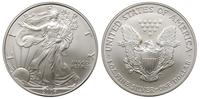 1 dolar 2004, srebro, 31.29 g