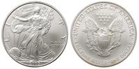 1 dolar 2005, srebro, 31.34 g