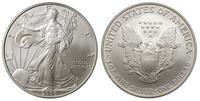 1 dolar 2006, srebro, 31.27 g