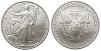 1 dolar 2007, srebro, 31.24 g