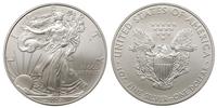 1 dolar 2008, srebro, 31.29 g