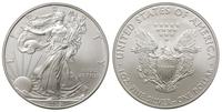 1 dolar 2009, srebro, 31.22 g