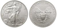 1 dolar 2010, srebro, 31.15 g