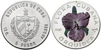 5 peso 1981, srebro 12.00g, moneta emaliowana na