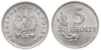 5 groszy 1949, Kremnica, aluminium, Parchimowicz
