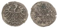 denar 1557, Wilno, patyna, Ivanauskas 2SA16-6, T