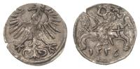 denar 1556, Wilno, patyna, Ivanauskas 2SA15-6, T