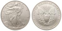 1 dolar 1996, Filadelfia, srebro 31.21 g, piękne