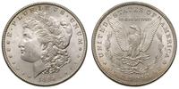 1 dolar 1885, Filadelfia, typ Morgan, piękny