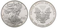 1 dolar 2008, Filadelfia, srebro "999" 31.26 g, 