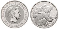 1 dolar 2008, Misie koala, srebro "999" 31.67 g,