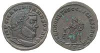 follis 304-305, Ticinum (Pawia), Aw: Głowa cesar