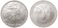 1 dolar 2006, Filadelfia, Walking Liberty, srebr