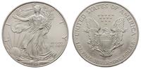 dolar 1996, Filadelfia, srebro 31.26 g