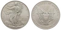 dolar 1996, Filadelfia, srebro 31.27 g