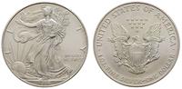 dolar 1996, Filadelfia, srebro 31.34 g