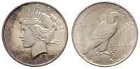 1 dolar 1922, Filadelfia, srebro '900' 26.77 g, 