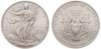 1 dolar 1996, Filadelfia, srebro 31.34 g