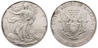 1 dolar 1996, Filadelfia, srebro 31.36 g