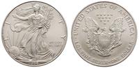 1 dolar 1996, Filadelfia, srebro 31.30 g