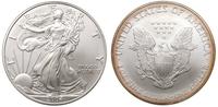 1 dolar 2004, Filadelfia, srebro 31.28 g, piękne