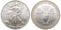 1 dolar 2004, Filadelfia, srebro 31.24 g, piękne