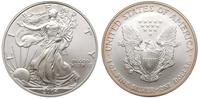 1 dolar 2004, Filadelfia, srebro 31.18 g, piękne