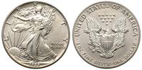1 dolar 1988, Walking Liberty, srebro 31.45 g pr