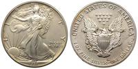 1 dolar 1991, Walking Liberty, srebro 31.37 g pr
