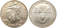 1 dolar 1999, Walking Liberty, srebro 31.29 g pr