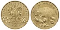 2 złote 1996, Jeż, nordic gold, Parchimowicz 733