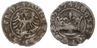 półgrosz koronny 1507, Kraków, patyna, lekko gię