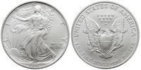 dolar 1995, Filadelfia, srebro 31.55 g