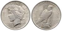 1 dolar 1923, Filadelfia, srebro 26.72 g, piękne