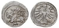 denar litewski 1501-1506, Wilno, Aw: Pogoń, goty