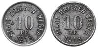 10 fenigów 1918, żelazo 21.7 mm 3.46 g, Menzel 2