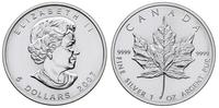 5 dolarów 2007, srebro ''999,9'', 31.42 g, piękn