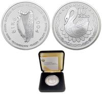 10 euro 2004, Paryż, Irlandzka Prezydencja Rady 