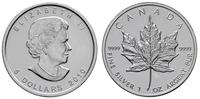 5 dolarów 2010, liść klonowy, 1 uncja srebra '99
