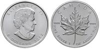 5 dolarów 2012, liść klonowy, 1 uncja srebra pró