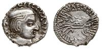drachma 185 (AD 263), Aw: Głowa satrapy w prawo,