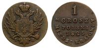 1 grosz polski z miedzi krajowej 1825, Warszawa,
