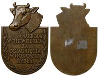 medal w kształcie tarczy herbowej, nie sygnowany