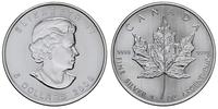 5 dolarów 2008, Liść klonowy, srebro "999" 31.42