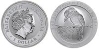 dolar 2008, Ptak Kookaburra, srebro "999" 31.39 