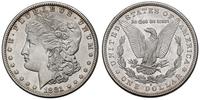 1 dolar 1881 / S, San Francisco, Typ "Morgan Lib