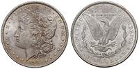 1 dolar 1883, Filadelfia, Typ "Morgan Liberty He