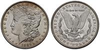 1 dolar 1886, Filadelfia, Typ "Morgan Liberty He