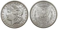 1 dolar 1881 / S, San Francisco, Typ "Morgan", p