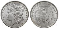 1 dolar 1884 / O, Nowy Orlean, Typ "Morgan", pię